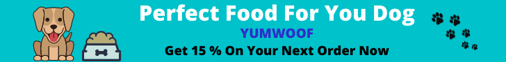 Yumwoof 15 1