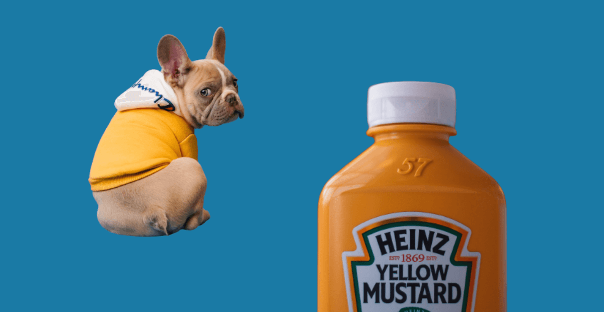 Find Out Why Dogs Can t Eat Mustard