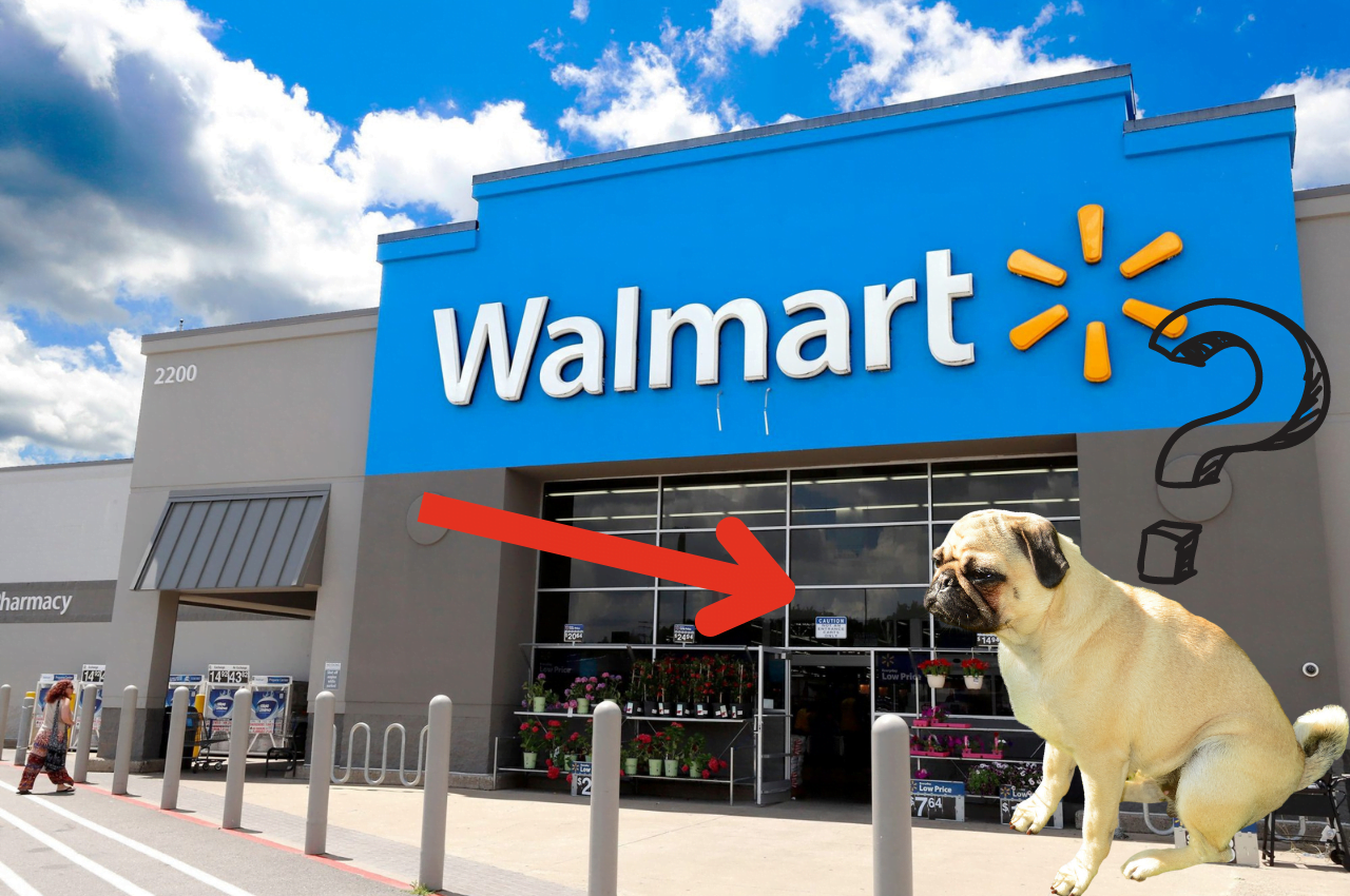 Are Dogs Allowed in Walmart