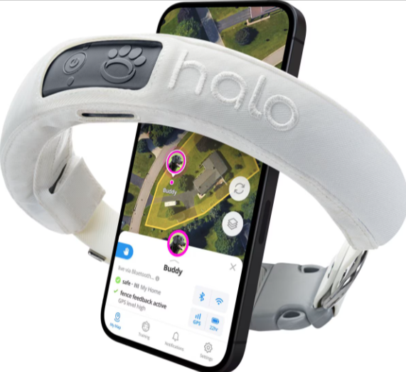 Halo Collar Wireless