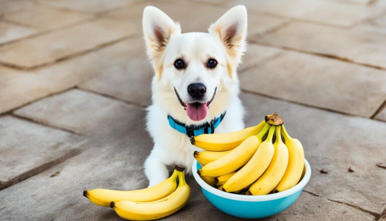 Can dog eat Bananas